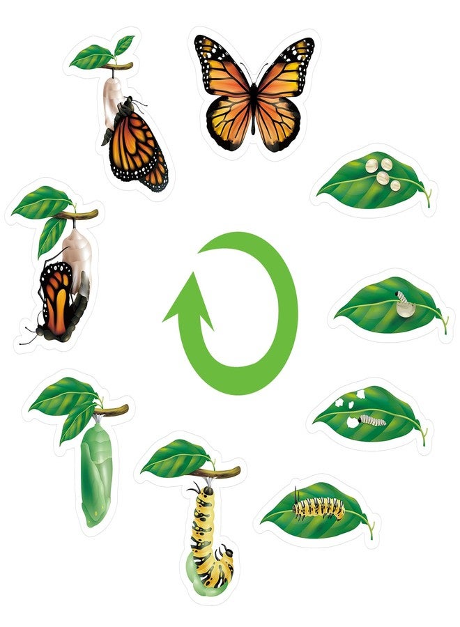 Relaxweex 9 Pcs Magnetic Butterfly Life Cycle Toys for Kid Caterpillar to Monarch Butterfly Growth Cycle Toy Insect Figures for Kids Education Preschool Classroom Insect Themed Teaching Tools Supplies - Image 1